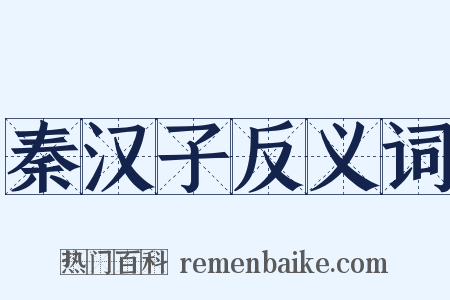 秦汉子反义词是什么意思的图片
